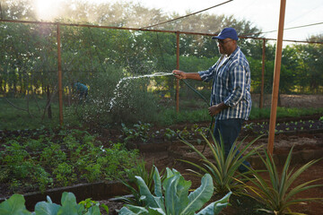 small Brazilian farmer watering his garden with a hose in a small rural property in Brazil