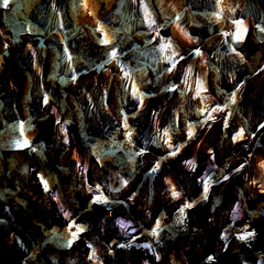 beautiful background for artists