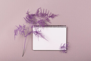 Blank diary, notepad mockup and dry plant on Pale Lychee color background. Flat lay, top view.
