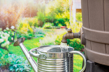 Filling watering can with water from rain barrel. Water conservation, gardening and rainwater...