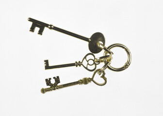 bunch of golden keys isolated on white background