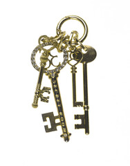 bunch of golden keys isolated on white background