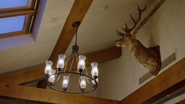 A rustic chandelier hangs next to a mounted head of a stag deer in local pub in the UK