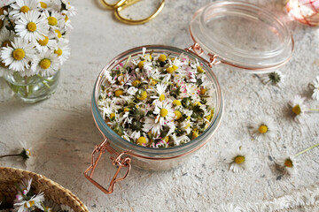 Jar filled with fresh common daisy flowers and sugar, to prepare syrup