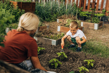 Sweet young boy helps mom in the garden.