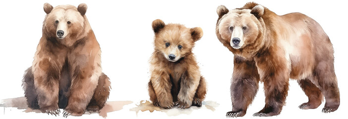 Watercolour illustration collection of three brown grizzly bears isolated on white background as transparent PNG, generative AI animal clipart bundle - obrazy, fototapety, plakaty