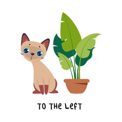 Little Brown Cat To the Left from Houseplant as English Language Preposition for Educational Activity Vector Illustration