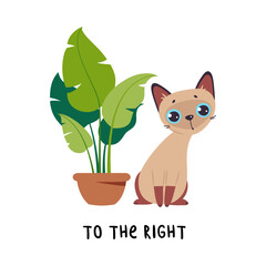 Little Brown Cat To the Right from Houseplant as English Language Preposition for Educational Activity Vector Illustration