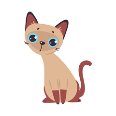 Funny Brown Cat with Cute Snout as Domestic Pet Sitting Vector Illustration
