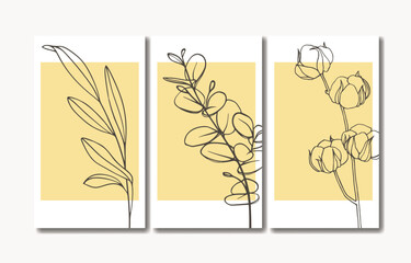 Сotton flower postcard template on yellow background. Floral minimal design. Summer sprigs set vector illustration. 