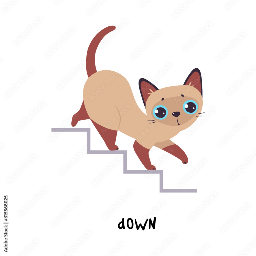 Poster Little Brown Cat Walk Down Stair as English Language Preposition for Educational Activity Vector Illustration