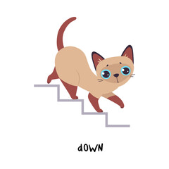 Little Brown Cat Walk Down Stair as English Language Preposition for Educational Activity Vector Illustration