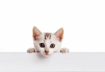 Adorable Japanese Bobtail Kitten Peeking Out from Behind White Table with Copy Space, Isolated on White Background. Generative AI.
