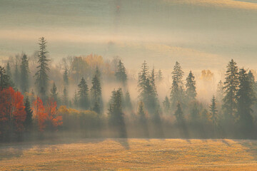Sunny sunrise in autumn mountains. Mountains in a fog illuminated by rising sun. Autumn landscape...