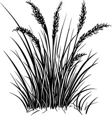 Fototapeta premium Grass Vector