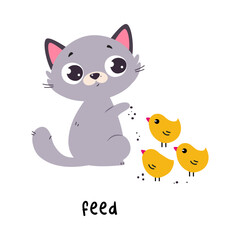 Funny Grey Cat Feed Chicks as English Verb for Educational Activity Vector Illustration