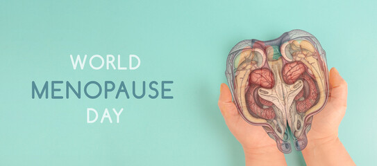 World Menopause Day, hormone replacement therapy, uterus organ, middle aged woman, fertility production, AI used for organ
 - obrazy, fototapety, plakaty