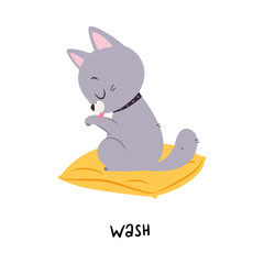 Funny Grey Cat Washing as English Verb for Educational Activity Vector Illustration
