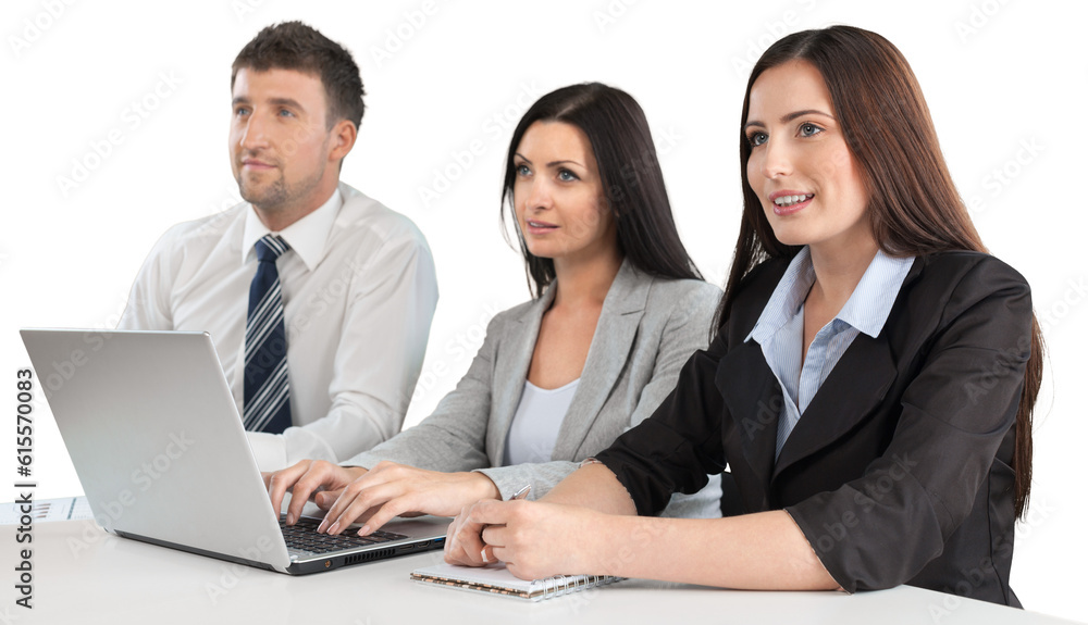 Wall mural Portrait of Business People Working with Laptop