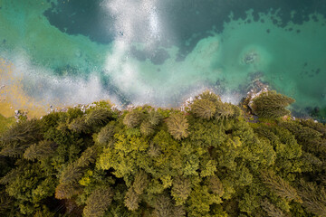 Pine tree forest at lake in fall. Fusine Lake in Italy. Aerial drone view