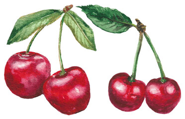 Watercolor Cherries on a Transparent Background, Cherry Clipart, Watercolor Cherry, Painted Red Cherries, Fruit Art