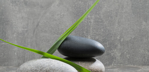 zen stones and leaves