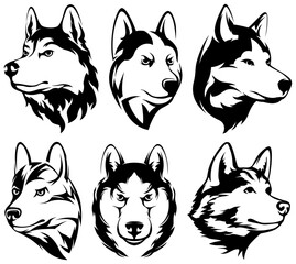 Heads of dogs. Wolf. abstract character illustrations. Graphic logo of husky design template for emblem. Image of portraits. © ARTSTOK