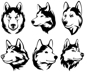 Heads of dogs. Wolf abstract character illustrations. Graphic image  of husky design template for emblem. Image of portraits. © ARTSTOK