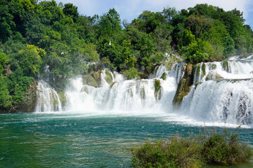 Fototapeta premium scenic waterfall in krka national park