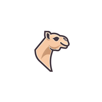Camel logo design vector template. Camel head icon. Vector illustration