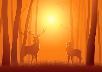 Silhouette of two deer in the woods, vector illustration