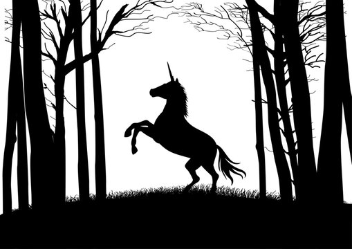 Silhouette of a unicorn in the woods, black and white vector illustration