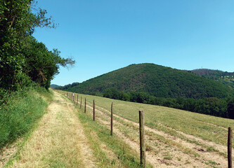 Fototapeta na wymiar Blick in die Luxemburger Ardennen vom Wanderweg Espadardenne Lee-Trail bei Erpeldange in der Nähe von Bourscheid.