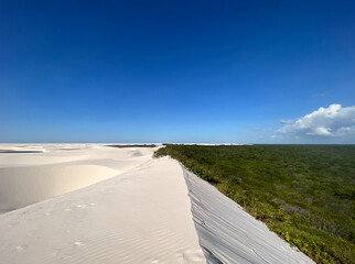 sand, dunes and forest
