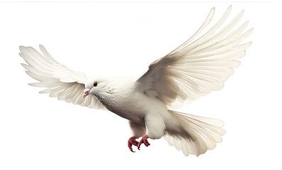 isolated flying white peace dove - Powered by Adobe