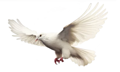 Zelfklevend Fotobehang isolated flying white peace dove © Xenia