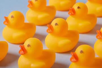 toy ducks on a blue background