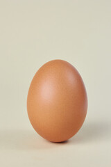 A brown egg with a frontal view