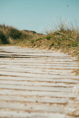 Low view of beach path
