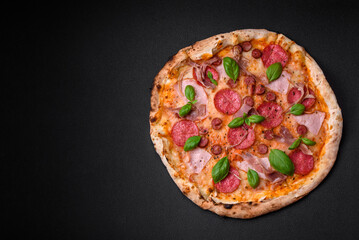 Delicious fresh oven baked pizza with salami, meat, cheese, tomatoes