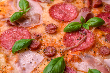 Delicious fresh oven baked pizza with salami, meat, cheese, tomatoes