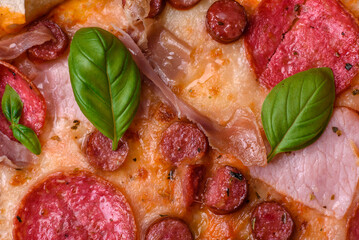 Delicious fresh oven baked pizza with salami, meat, cheese, tomatoes