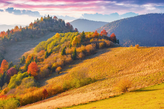 trees and meadows on the hills in evening light. colorful mountain landscape in autumn. glowing clouds above the distant ridge