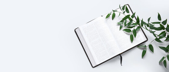 Holy Bible and branch on white background with space for text