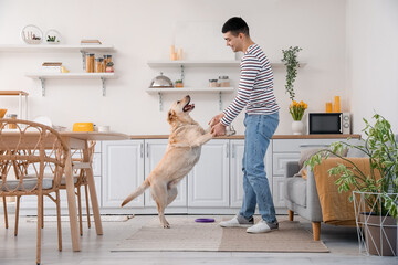 Young man with cute Labrador dog dancing in kitchen