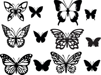 Black pictures of funny butterflies. Insect butterfly, winged gorgeous animal