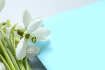 Beautiful snowdrops and greeting card on grey background, closeup
