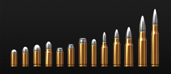 Realistic bullets for weapons set