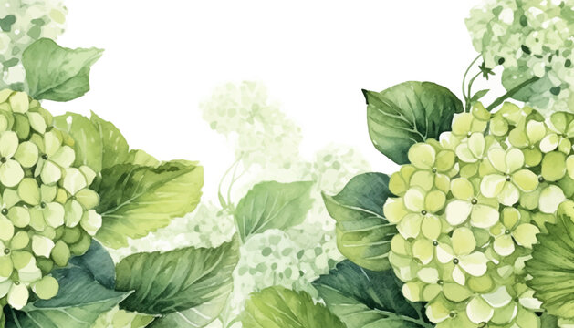 floral watercolor background green hydrangea flower