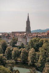 Naklejka premium great cathedral in the city